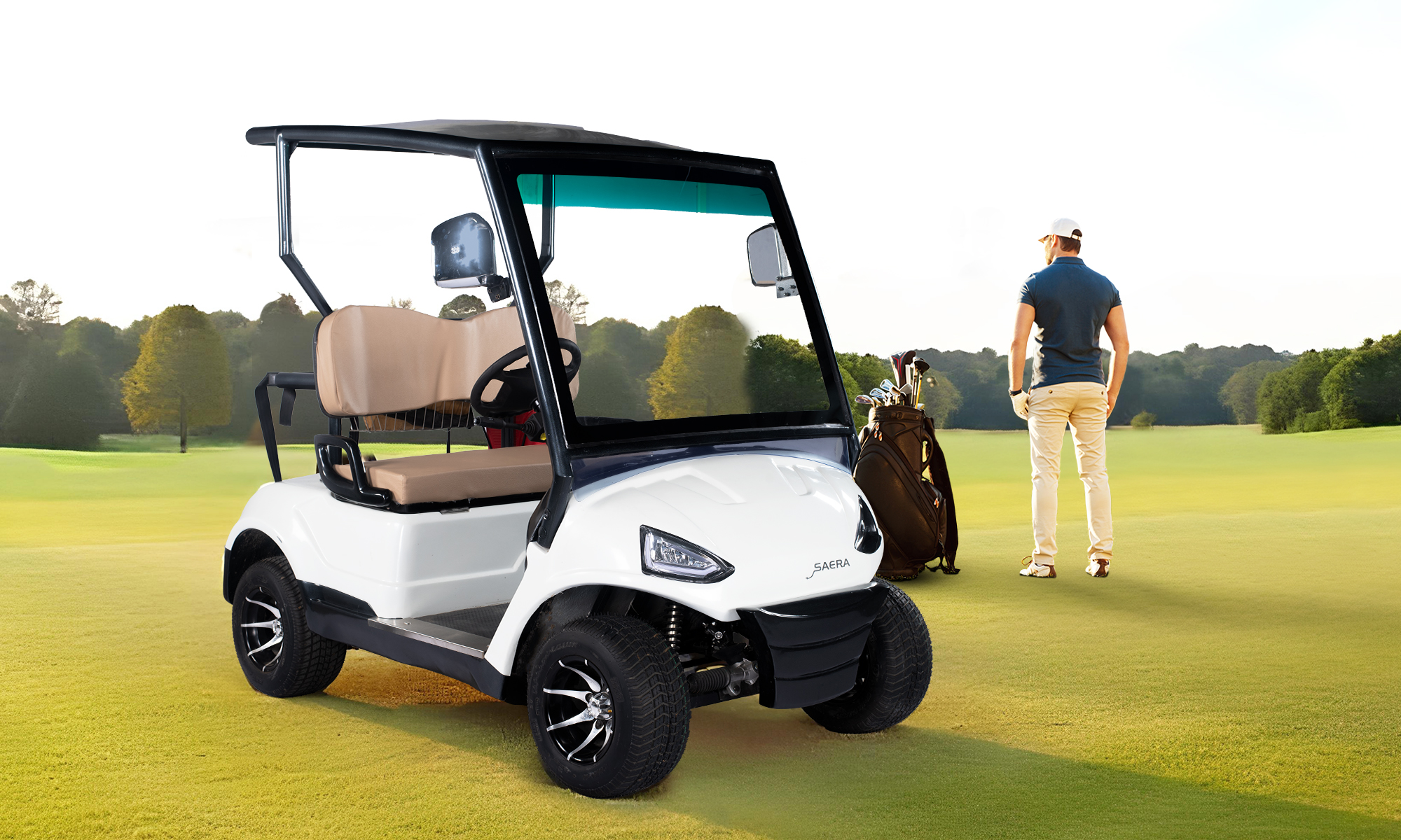 Manufacturer of 2 Seater Golf Cart