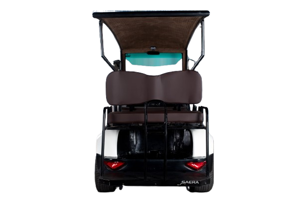 2 Seater Golf Cart - View 3