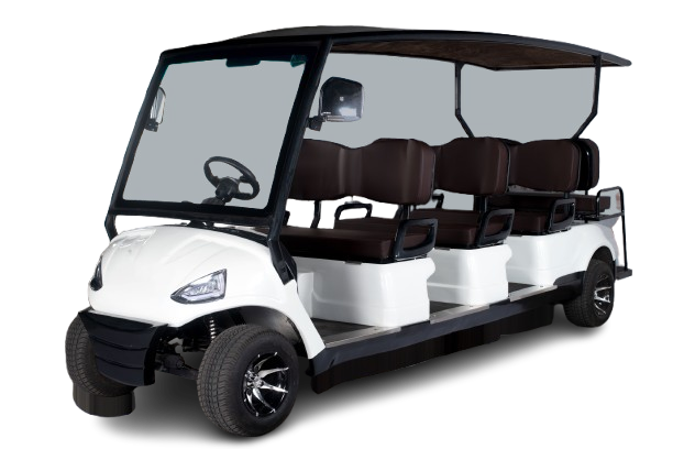 2 Seater Golf Cart - View 3
