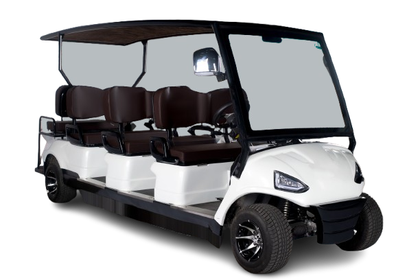 2 Seater Golf Cart - View 3